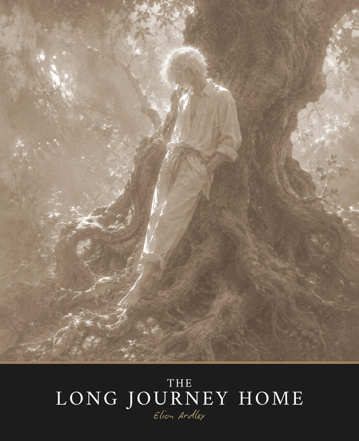 The Long Journey Home